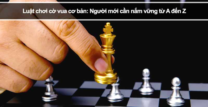 Luật chơi cờ vua cơ bản: Người mới cần nắm vững từ A đến Z