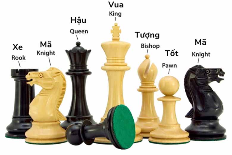 Luật chơi cờ vua cơ bản: Người mới cần nắm vững từ A đến Z
