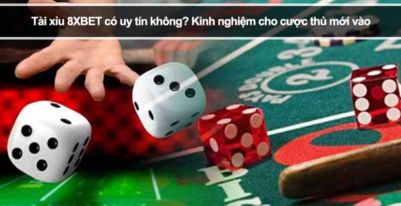 Tài xỉu 8XBET có uy tín không? Kinh nghiệm vàng cho người mới