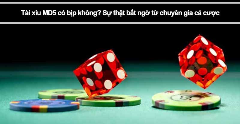 Tài xỉu MD5 có bịp không? Sự thật bất ngờ từ chuyên gia cá cược