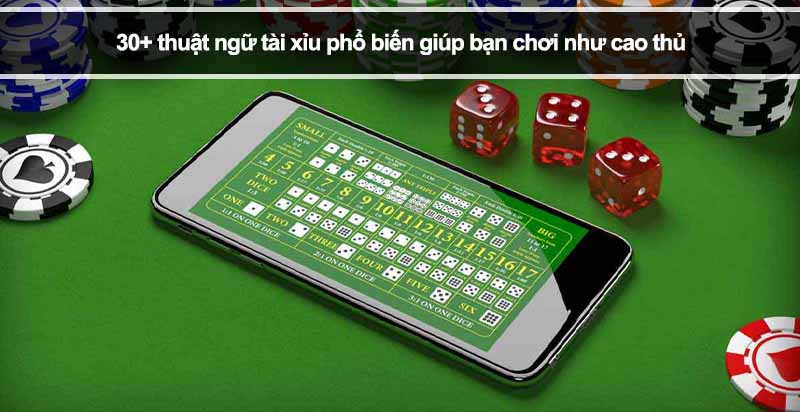 30+ thuật ngữ tài xỉu phổ biến giúp bạn chơi như cao thủ