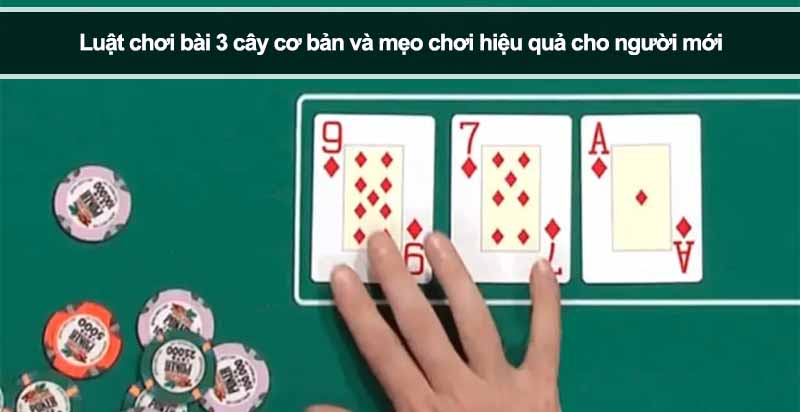 Luật chơi bài 3 cây cơ bản và mẹo chơi hiệu quả cho người mới